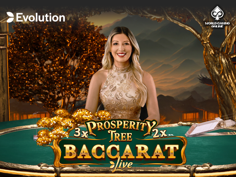 Casino Image